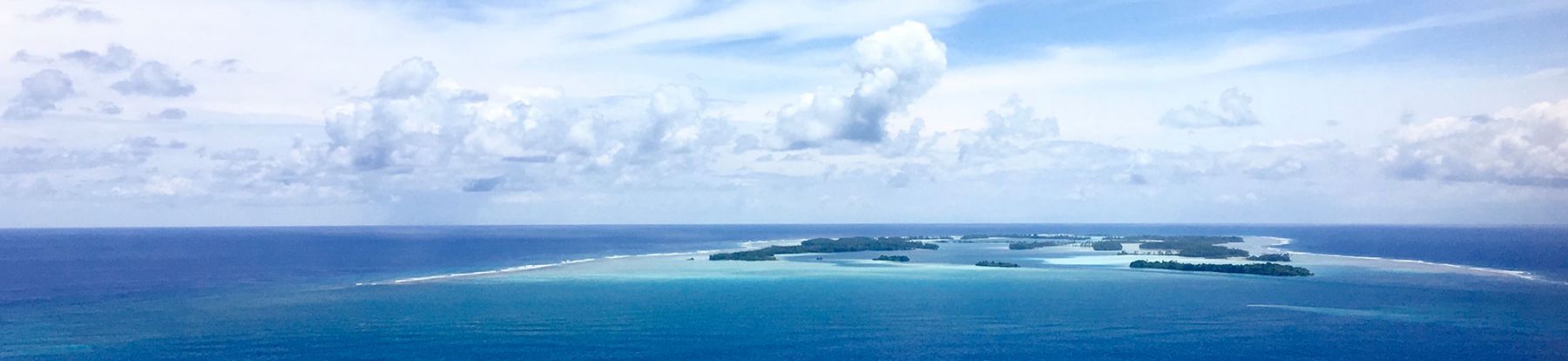 Arial view of Palmyra. Credit: Katie Davis Koehn