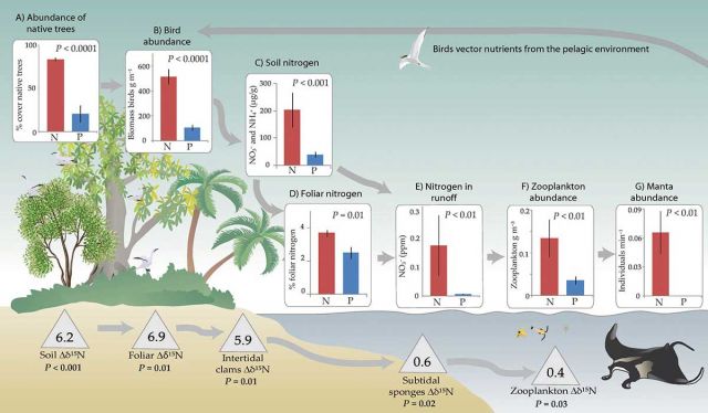 McCauley et al. (2012) Figure 1