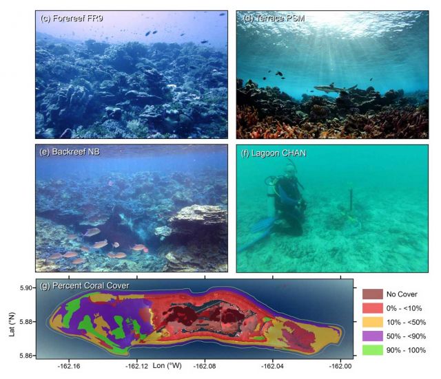 Rogers et al. (2016) Figure 1