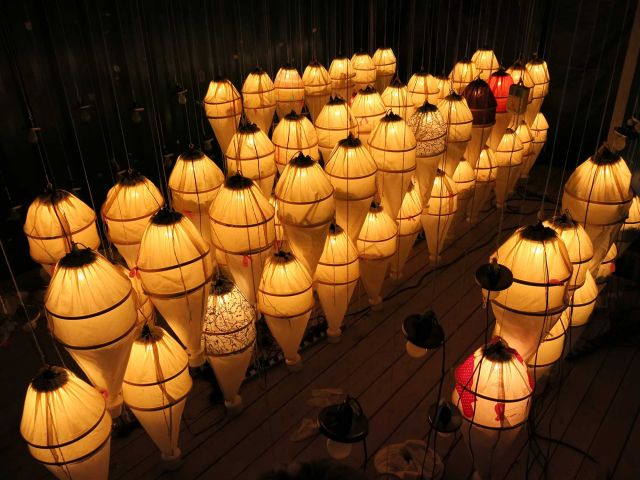 Berlese funnels used to capture insects. Credit: Peter Carlson