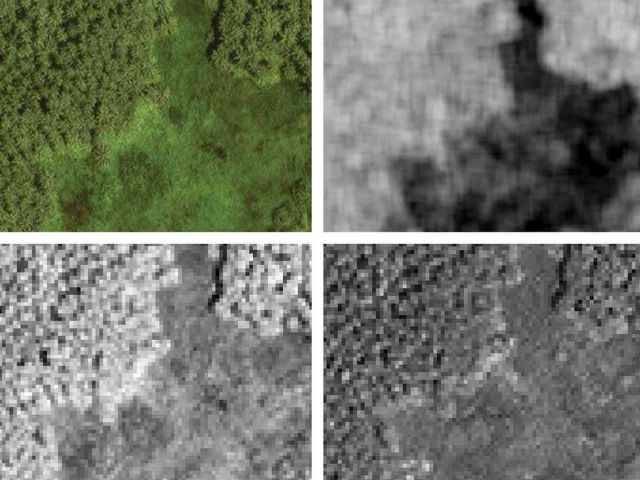 Coconuts from space!