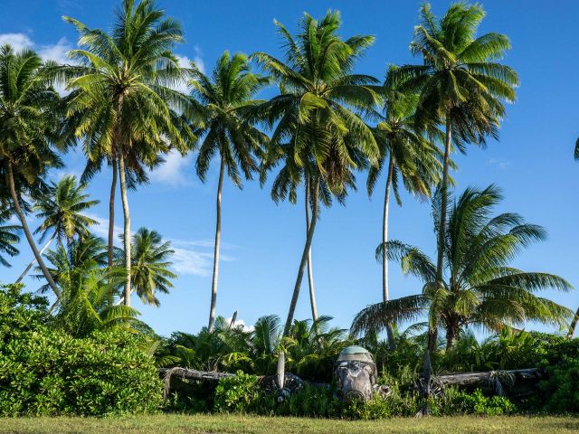 Plane crashed next to the runway. Credit: Ana Sofia Guerra