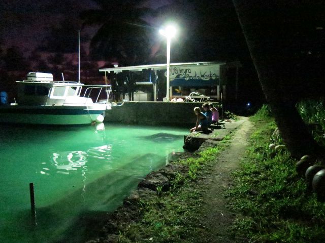 Manta (Mobula alfredi) at manta light. Credit: Peter Carlson