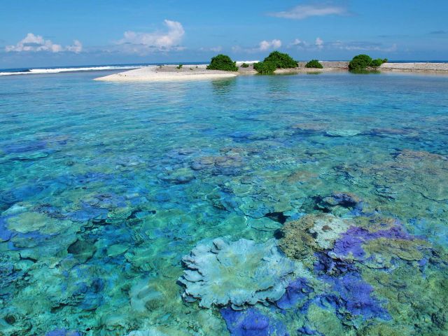 Small island surrounded by coral reef. Credit: Kydd Pollock